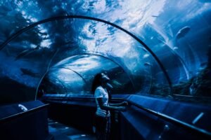 A woman observing marine life in an underwater tunnel, captivating aquarium experience.